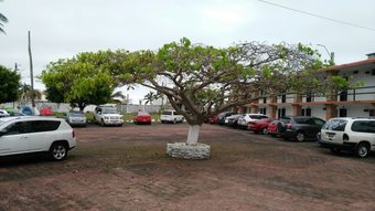 Ver fotos
