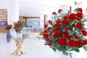 Hotel High Castle Resort