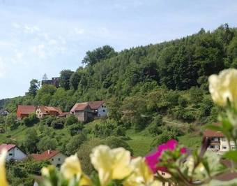 Hostal Hotel Landgasthof Gr�ner Baum