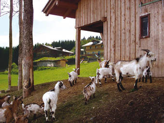 Bergh�tte Zum Pr�ller