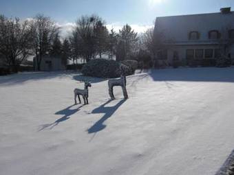 Gruppenhaus Hessen I