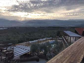 Apartamento Olive Gardens Resort