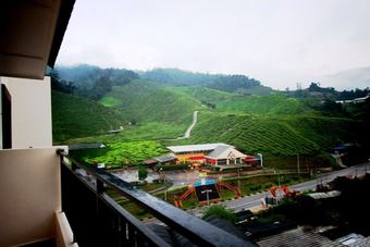 Peony Apartment @ Cameron