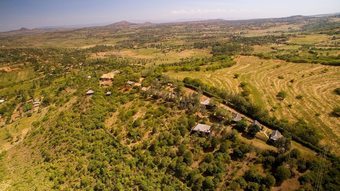 Posada Ngorongoro Forest Tented Lodge