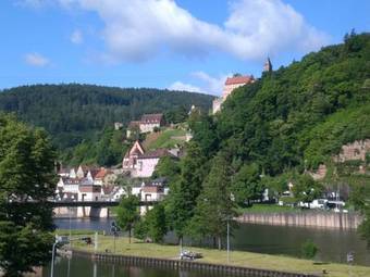Apartamentos Romantisches Hirschhorn Am Neckar