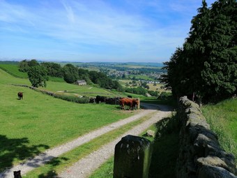 Hotel Bulls Head