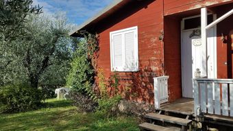 Agroturismo Olive Tree Hill