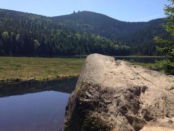 Holiday Home Bischofsmais Bischofsmais