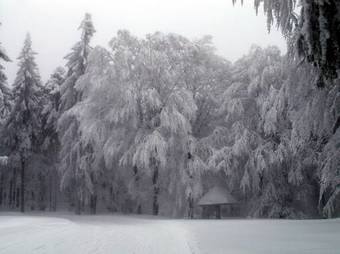 Apartamento Ferienwohnungen Irene Konstandin