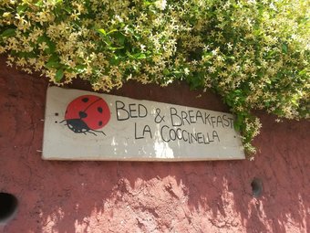 La Coccinella