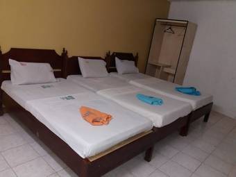 Hotel Bee Pension