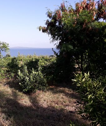 Posada Mulberry Glamp