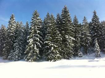 Hotel Alpenvilla Berchtesgaden