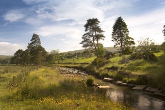 Cottages At Lovelady Shield Country House Hotel