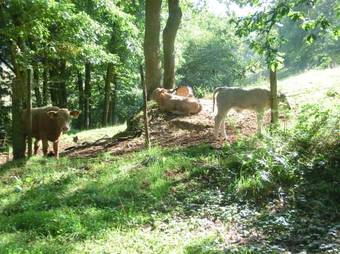 Apartamento Magdalenenhof