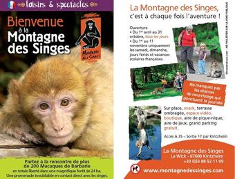 House With One Bedroom In Kintzheim, With Wifi - 20 Km From The Slopes