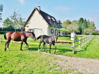 House With 4 Bedrooms In Quetteville, With Enclosed Garden - 22 Km From The Beach