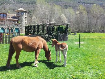 Agroturismo La Borda De Ritort