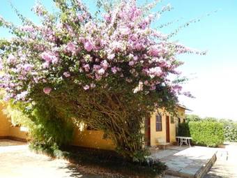 Posada Pousada Lambari Montanha Hotel