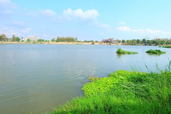 Hotel Techno Riverview Resort