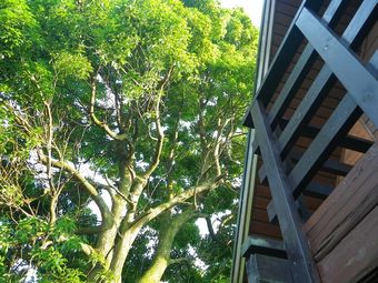 Apartamentos Seaside Resort Minami Atami Ichibankan