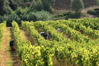 Agroturismo Villa Venti