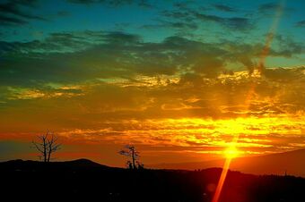 Hotel Breakfast At Tiffany's