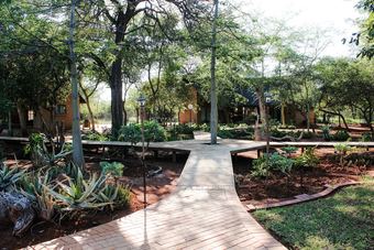 Posada Zingela Nature Reserve - Leadwood Lodge