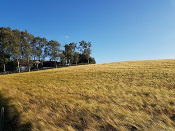 Hotel G�rdshotellet