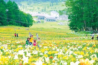 Hotel Harvest Madarao