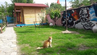 Ver fotos