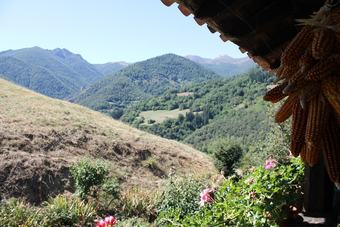 Hostal Casona De Trevi�o