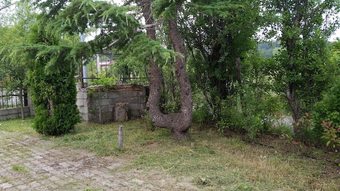 Le Villette In Sila - Lago Ampollino
