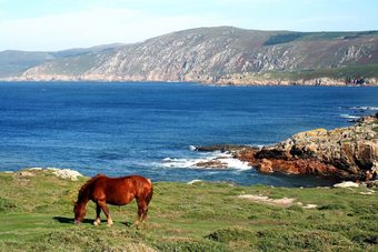 104225 -  House In Mux�a