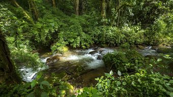 Hotel Toucanet Lodge