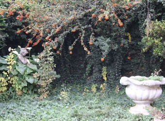 Hotel Nmb Guest House