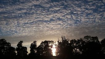 G�te- La Ferme Des Chataigniers