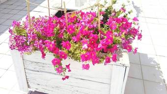 Hotel Habitacions Sant Pere Claver