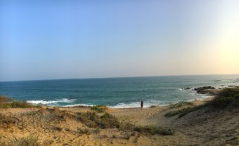 Back Of Beyond Dune Camp - Yala