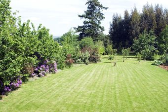 Hotel La Nesli�re ? Chambres D?h�tes Bio