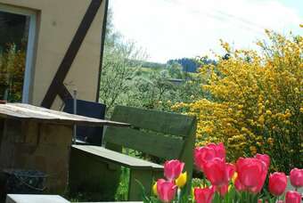 Hotel Connies Art House