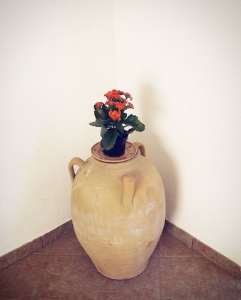 B&B Masseria Donna Carlotta