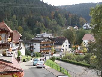 Hostal Schwarzwaldhaus Am Kurpark