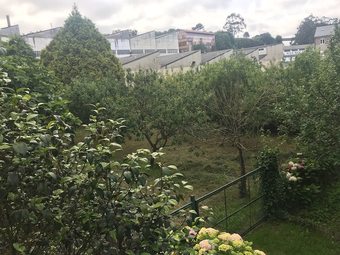 Pension Rego Camino De Santiago