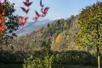 Hotel Borgo Alla Sorgente