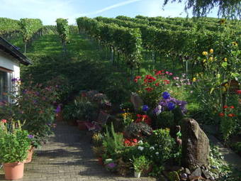 Hostal Pension Am Weinberg