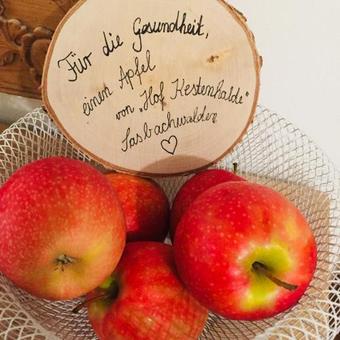 Hotel Engel, Sasbachwalden