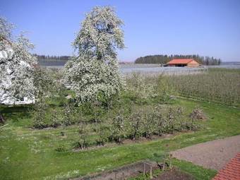 Hostal Landhotel Elfenhof