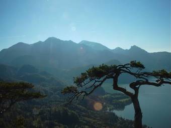 Seehotel Grauer B�r