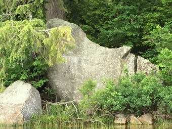 Hummingbird Hill Bed & Breakfast